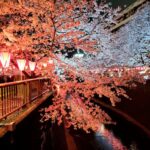 Top Photo Spots for Sightseeing in Japan Using eSIM