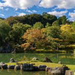 How to Enjoy Japan’s Nature Parks Using eSIM