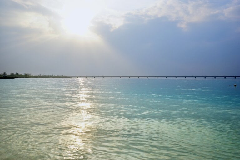 宮古島で有名なもの4選｜一生に一度は見たい！宮古ブルーから島の人気者まで紹介！