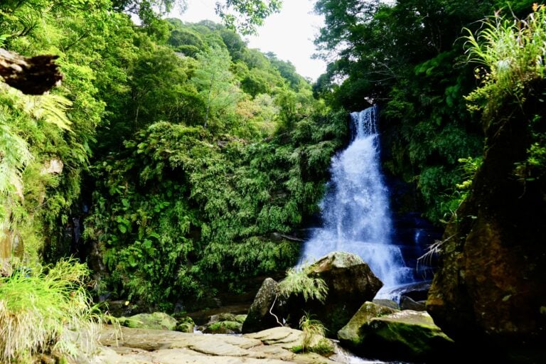 【沖縄】西表島のカヤックで行く滝＜5選＞