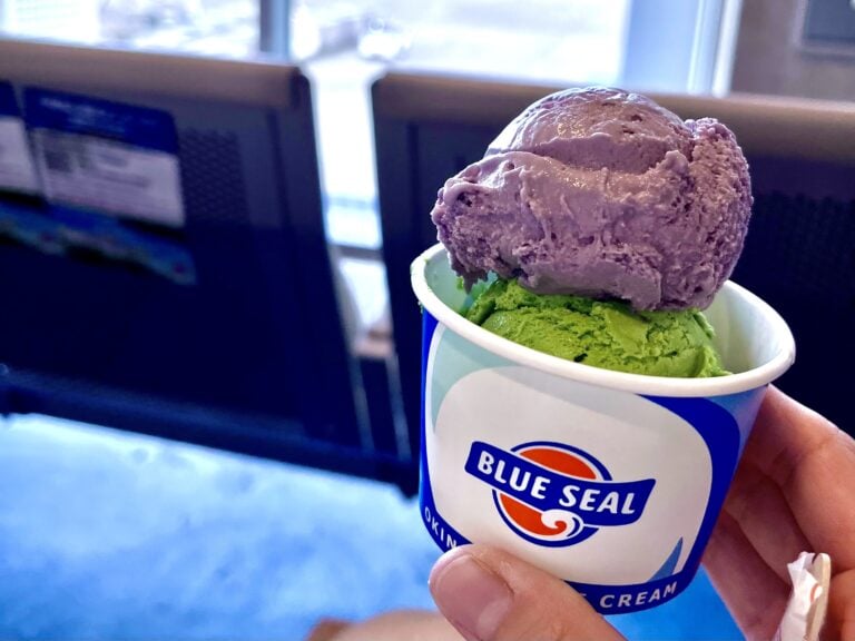 沖縄のアイスクリーム BLUE SEAL とは？どこで作られている？