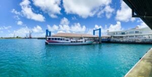 石垣港離島ターミナル euglena-Ishigaki Ferry Terminal